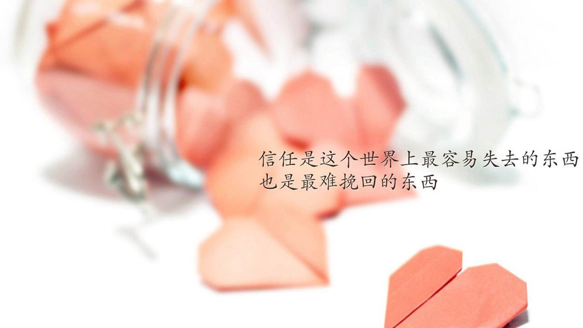 开云-冰火之歌，2026世界杯D组，冰岛寒锋斩落哥斯达黎加，B费独舞点亮极光之夜